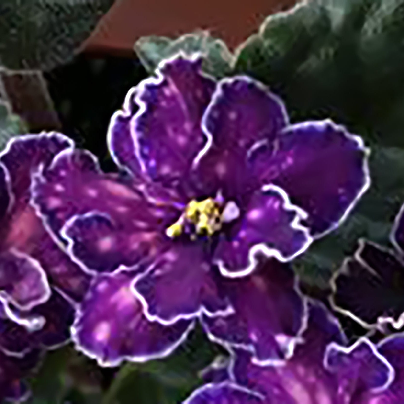 SM-Tanets Galaktik/SM-Dance of Galaxies (K. Morev)